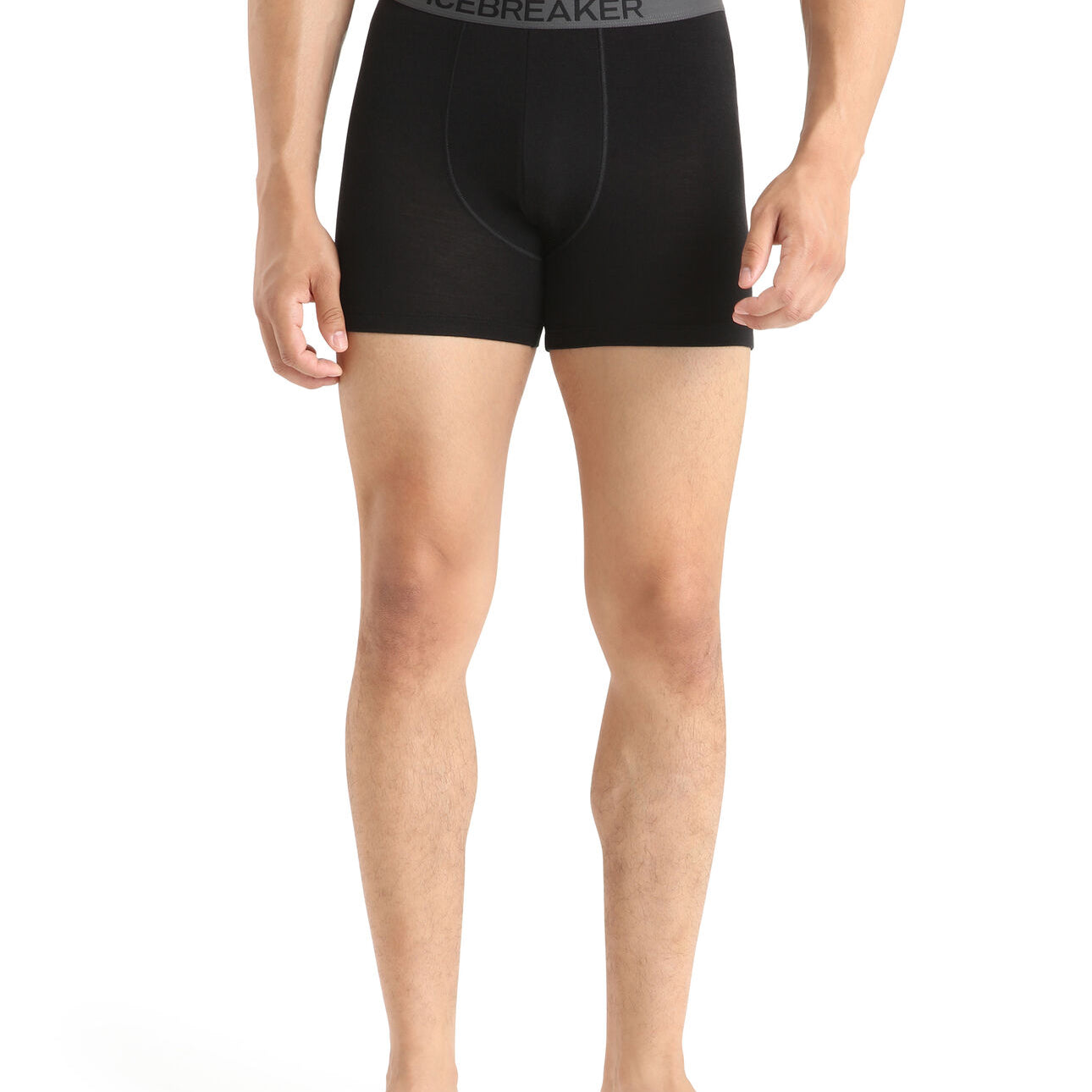 Merino 150 Anatomica Boxers (Men's) - IB103029
