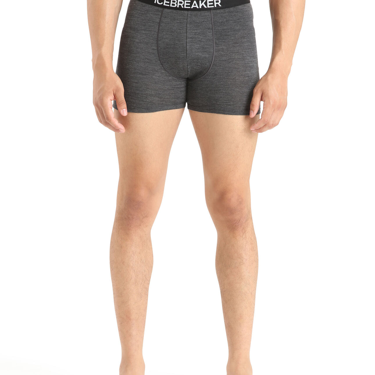 Merino 150 Anatomica Boxers (Men's) - IB103029