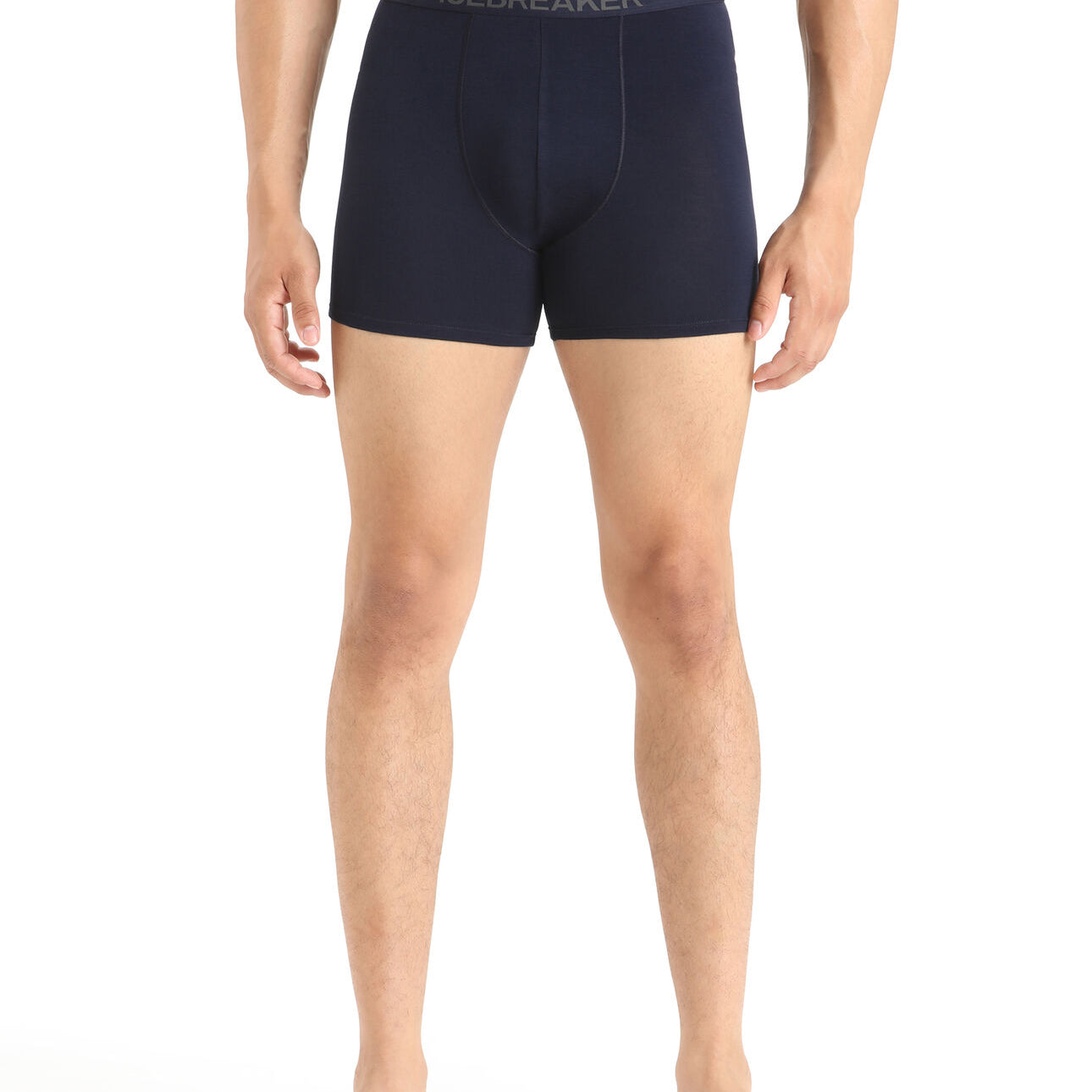 Merino 150 Anatomica Boxers (Men's) - IB103029