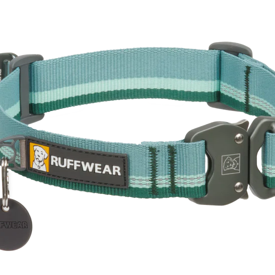 Top Rope™ Metal Buckle Dog Collar