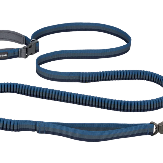 Roamer Lock™ Leash