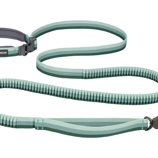 Roamer Lock™ Leash