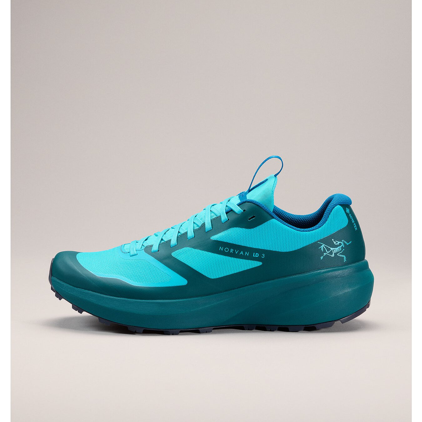 Norvan LD 3 GTX Shoe (Unisex) - X000006998 - Past Season