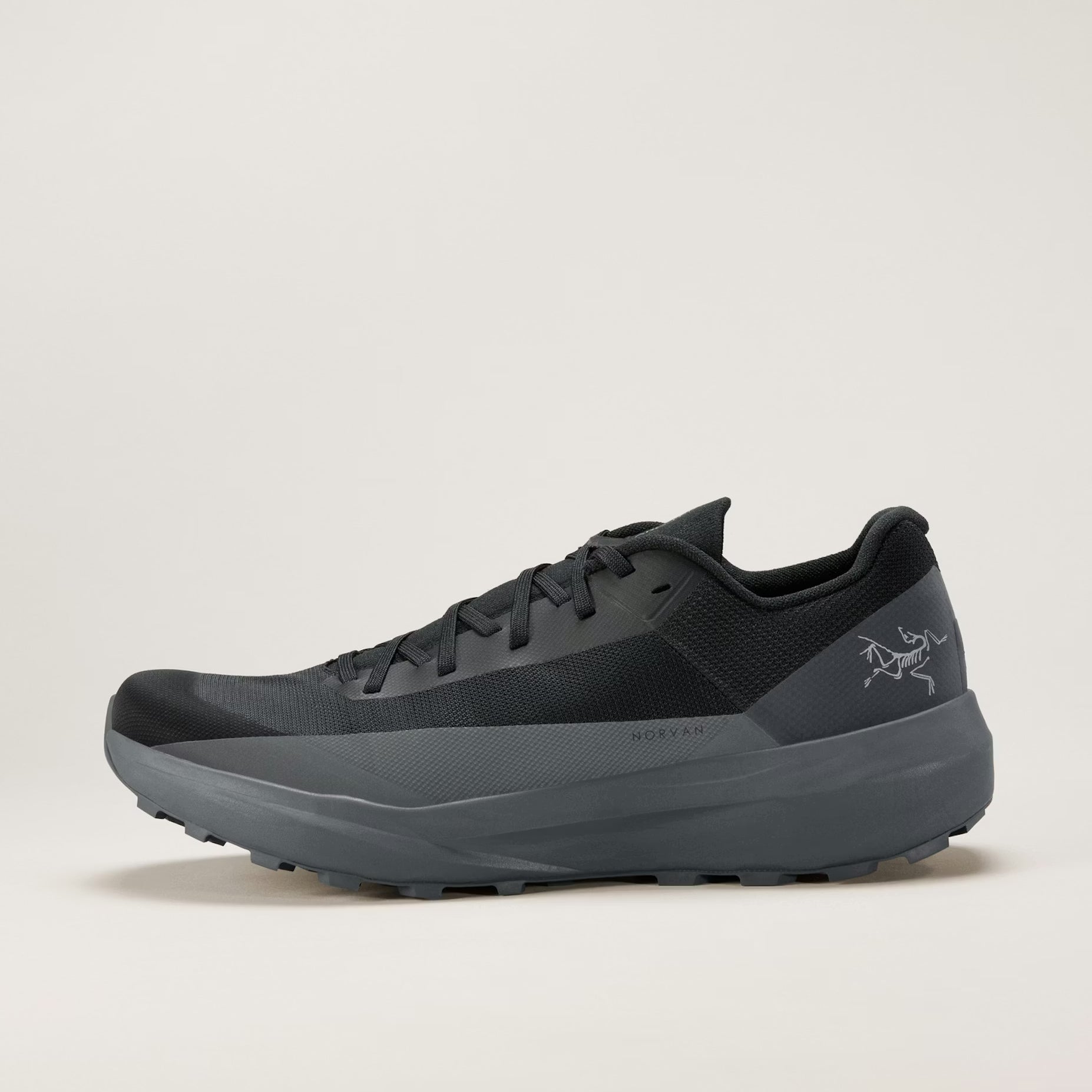 Norvan LD 4 Shoe (Men's)