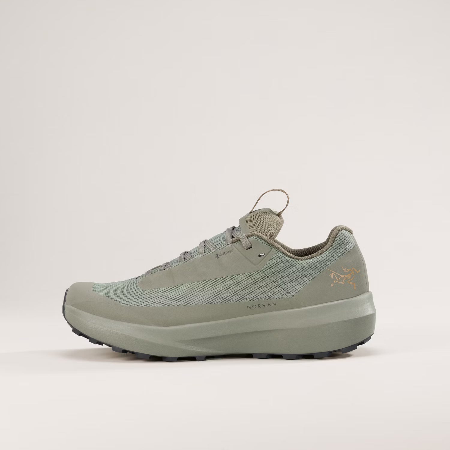 Norvan LD 4 GTX (Women's) - X000010399