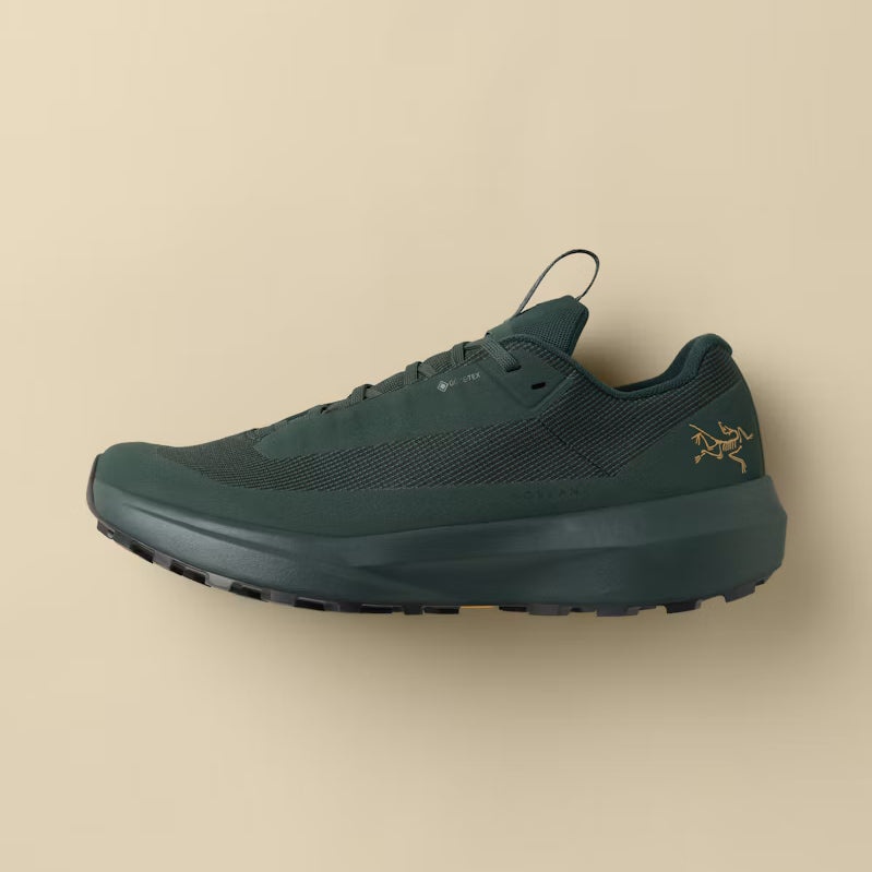 Norvan LD 4 GTX Shoe (Women's) - X000010399