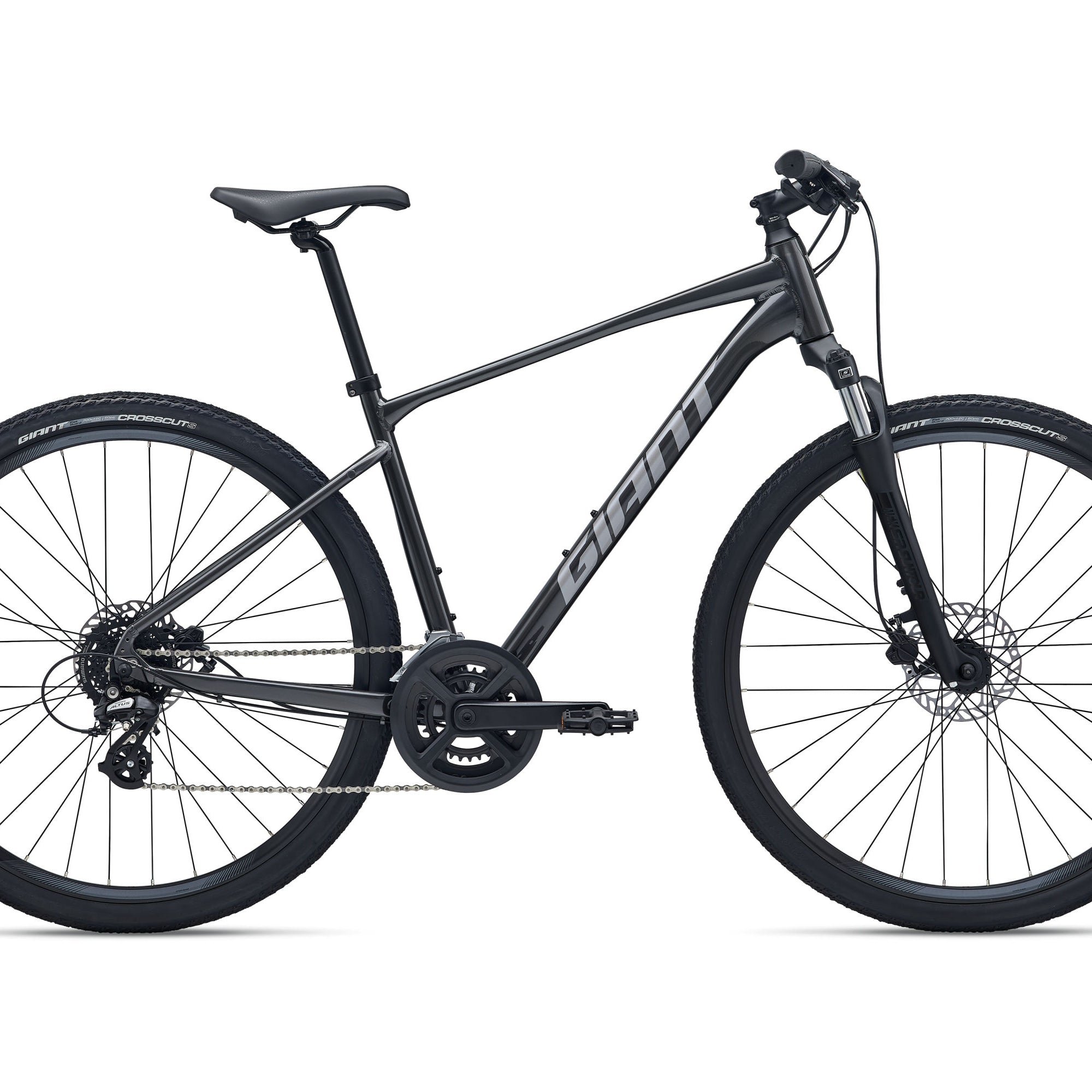 Roam 4 (2026)
