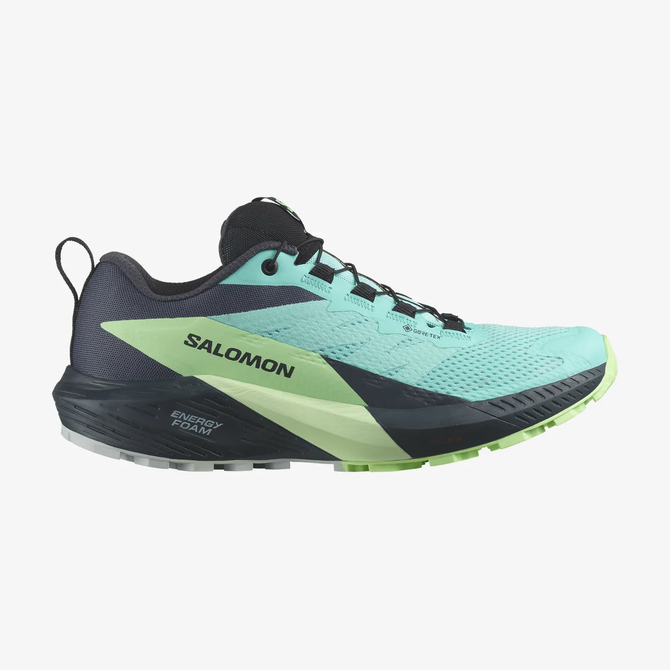 Sense Ride 5 Gore-Tex (Women's) - Past Season