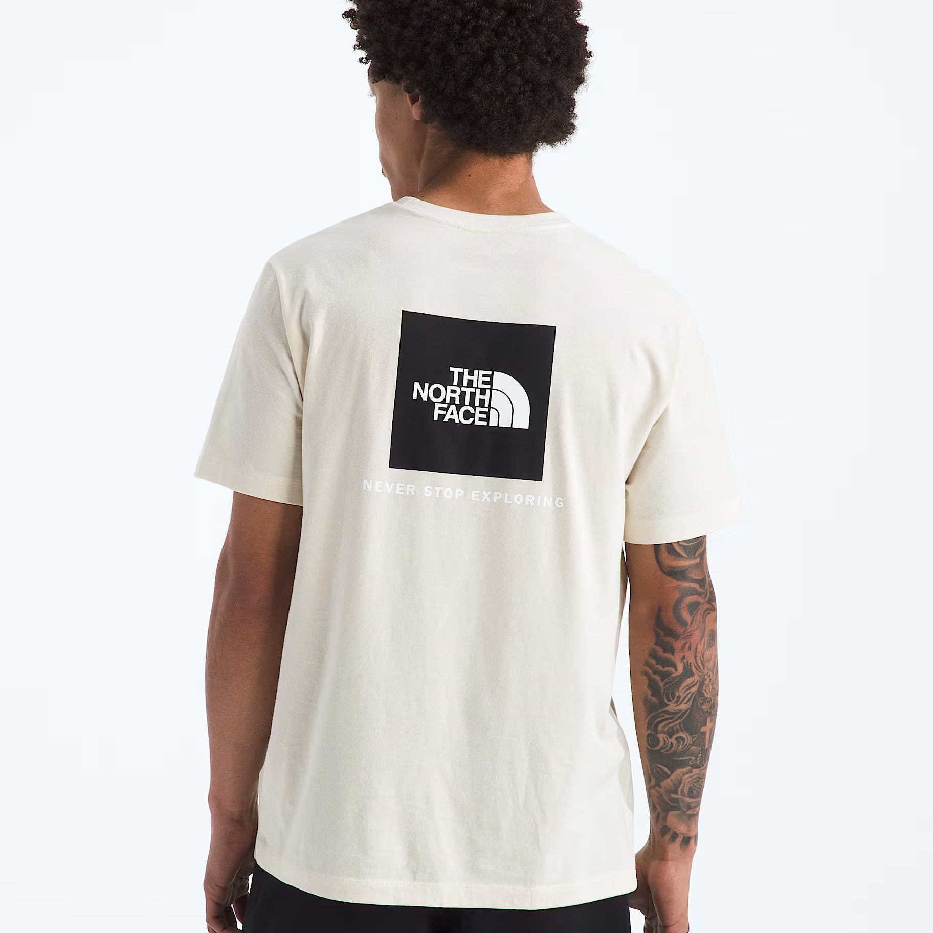 Evolution Box NSE Regular Short-Sleeve Tee (Men's) - NF0A8B6K
