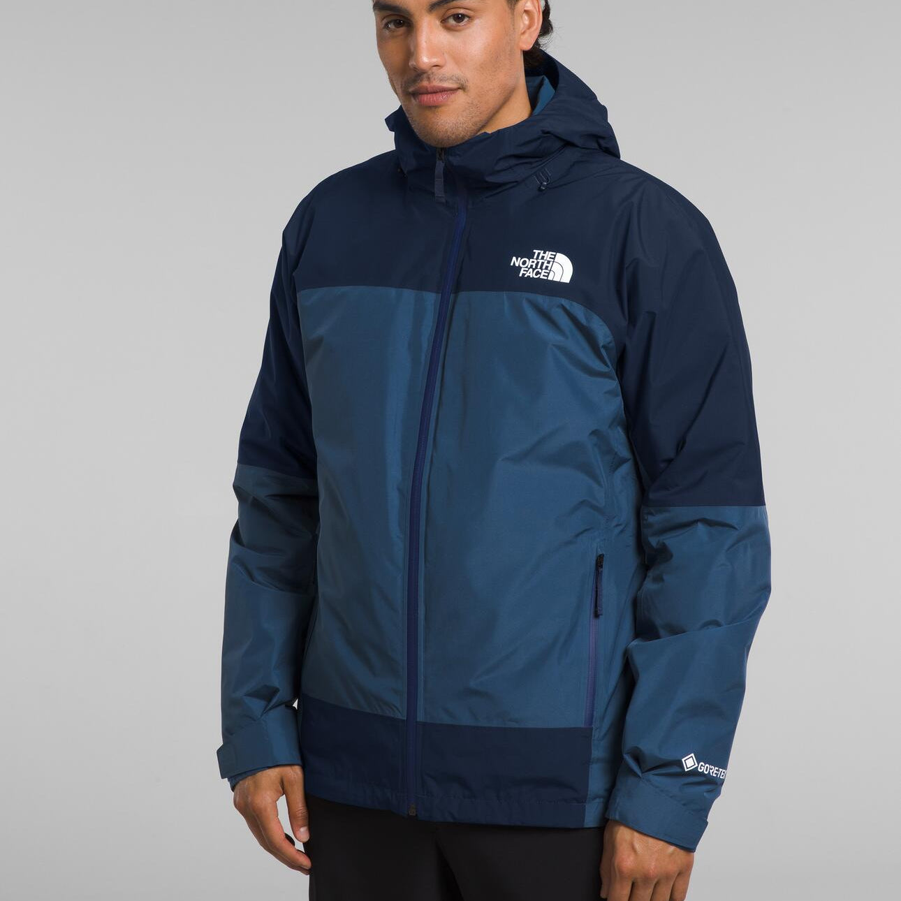 Mountain Light Triclimate® GTX Jacket (Men's) - NF0A84FC - Past Season