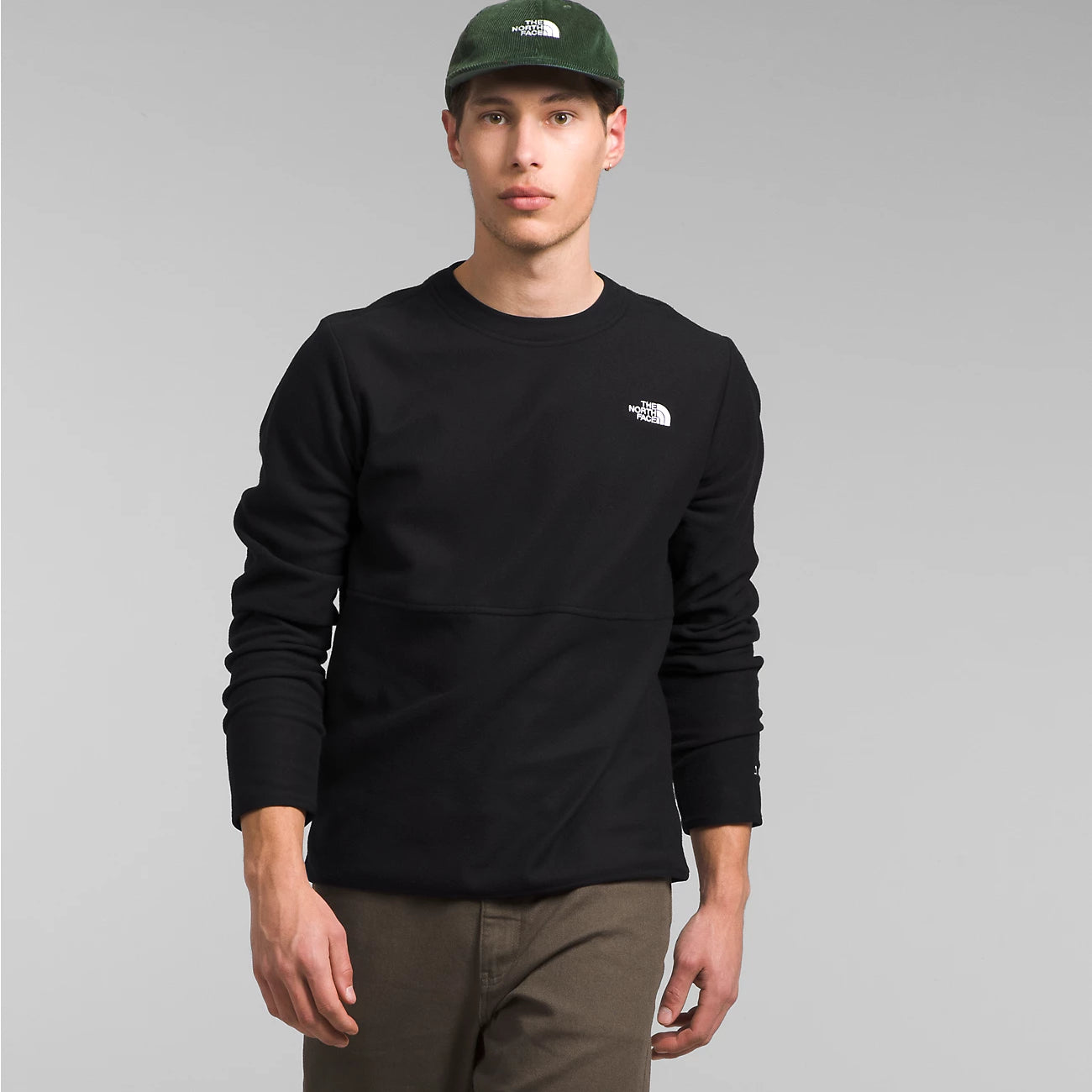 Alpine Polartec 100 Crew (Men's) - NF0A84QF - Past Season