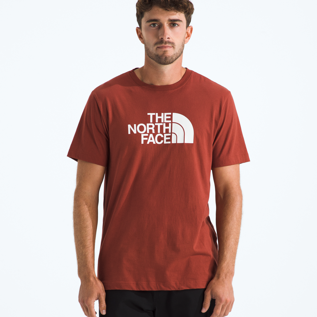Evolution Half Dome Regular Short-Sleeve Tee (Men’s) - NF0A8B6J