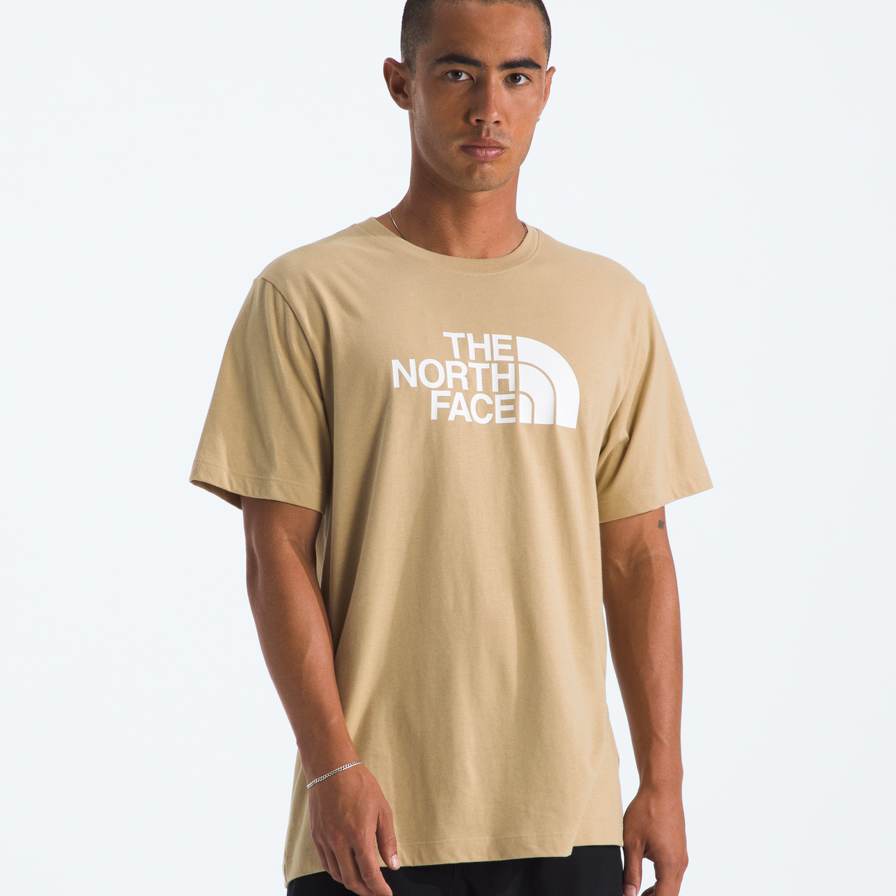 Evolution Half Dome Regular Short-Sleeve Tee (Men’s) - NF0A8B6J