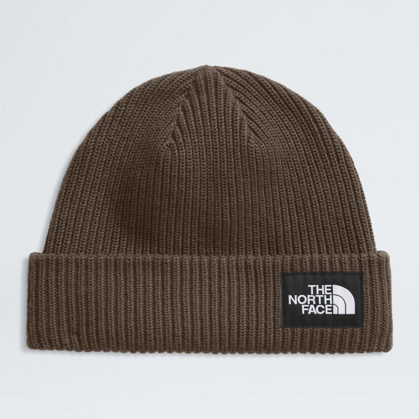 Salty Lined Beanie - NF0A8CGZ