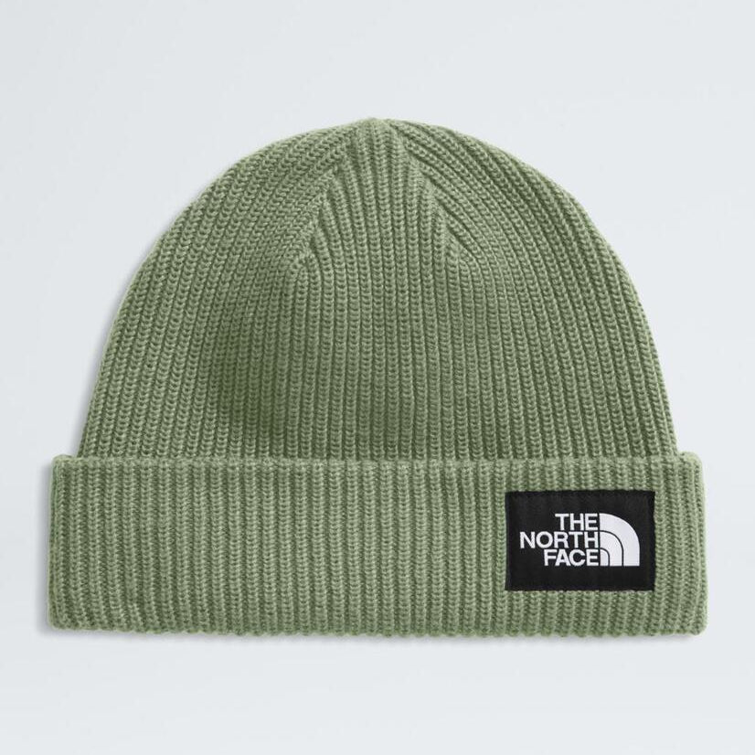 Salty Lined Beanie - NF0A8CGZ