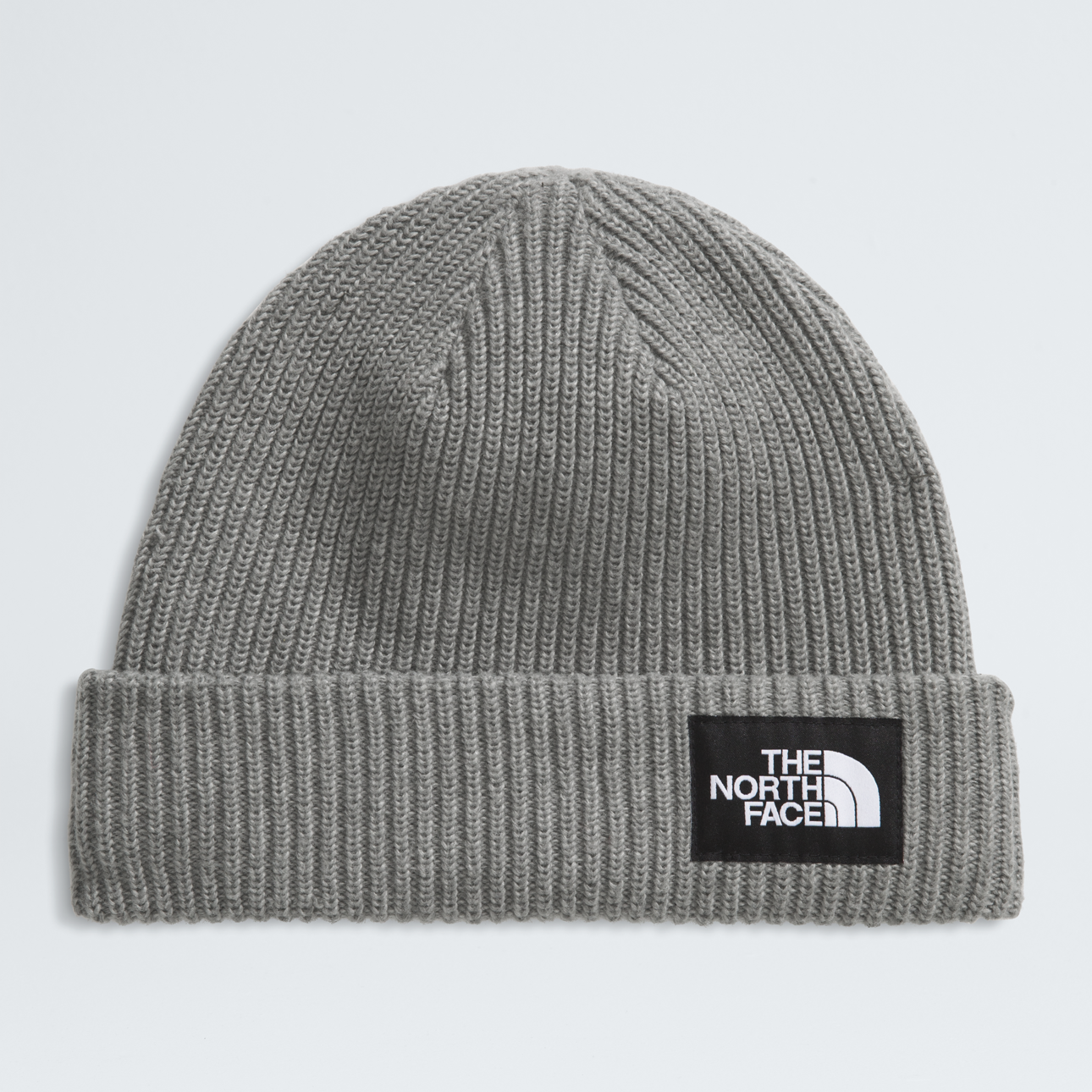 Salty Lined Beanie - NF0A8CGZ
