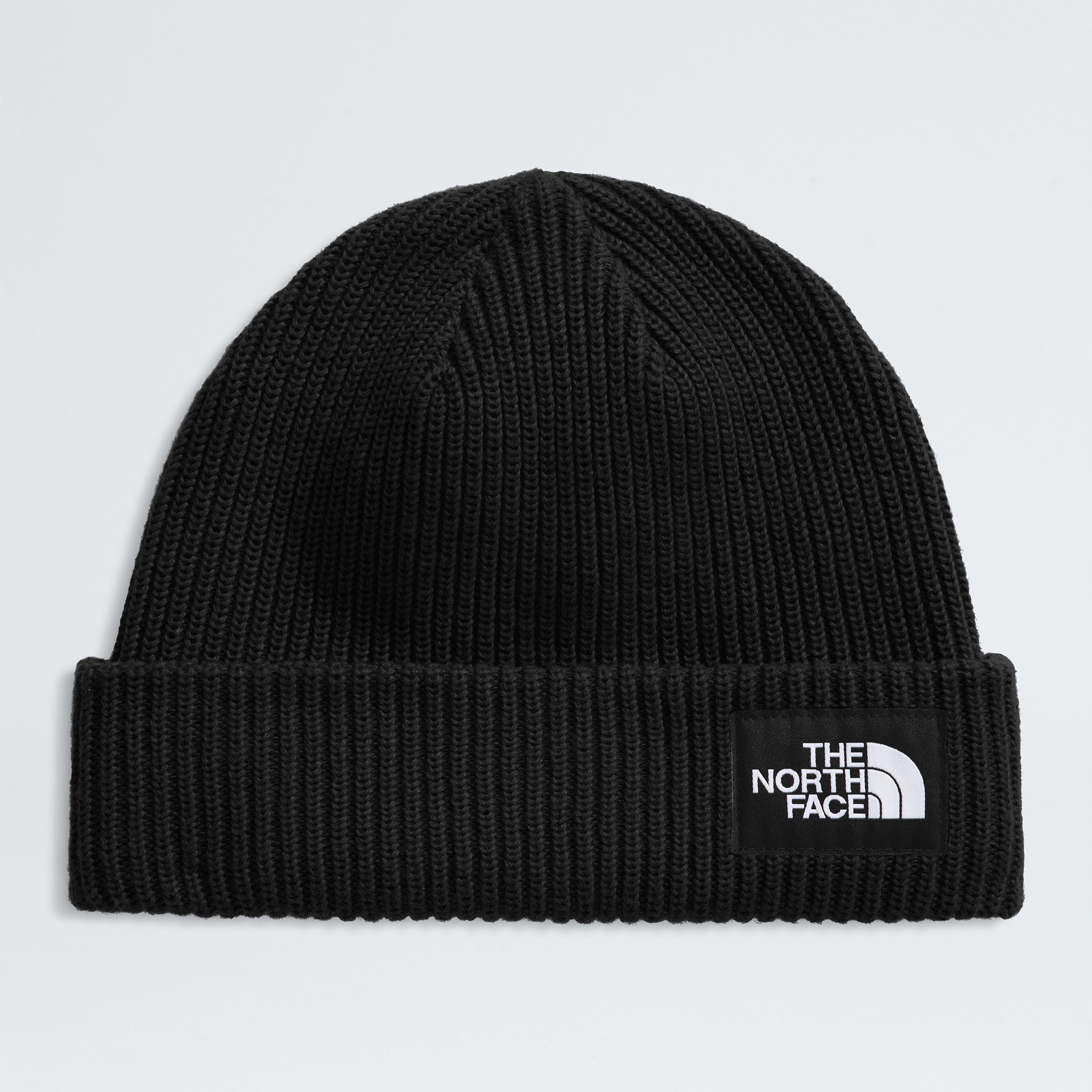 Salty Lined Beanie - NF0A8CGZ