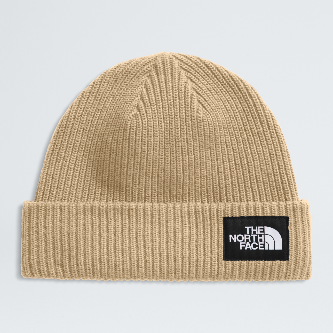 Salty Lined Beanie - NF0A8CGZ