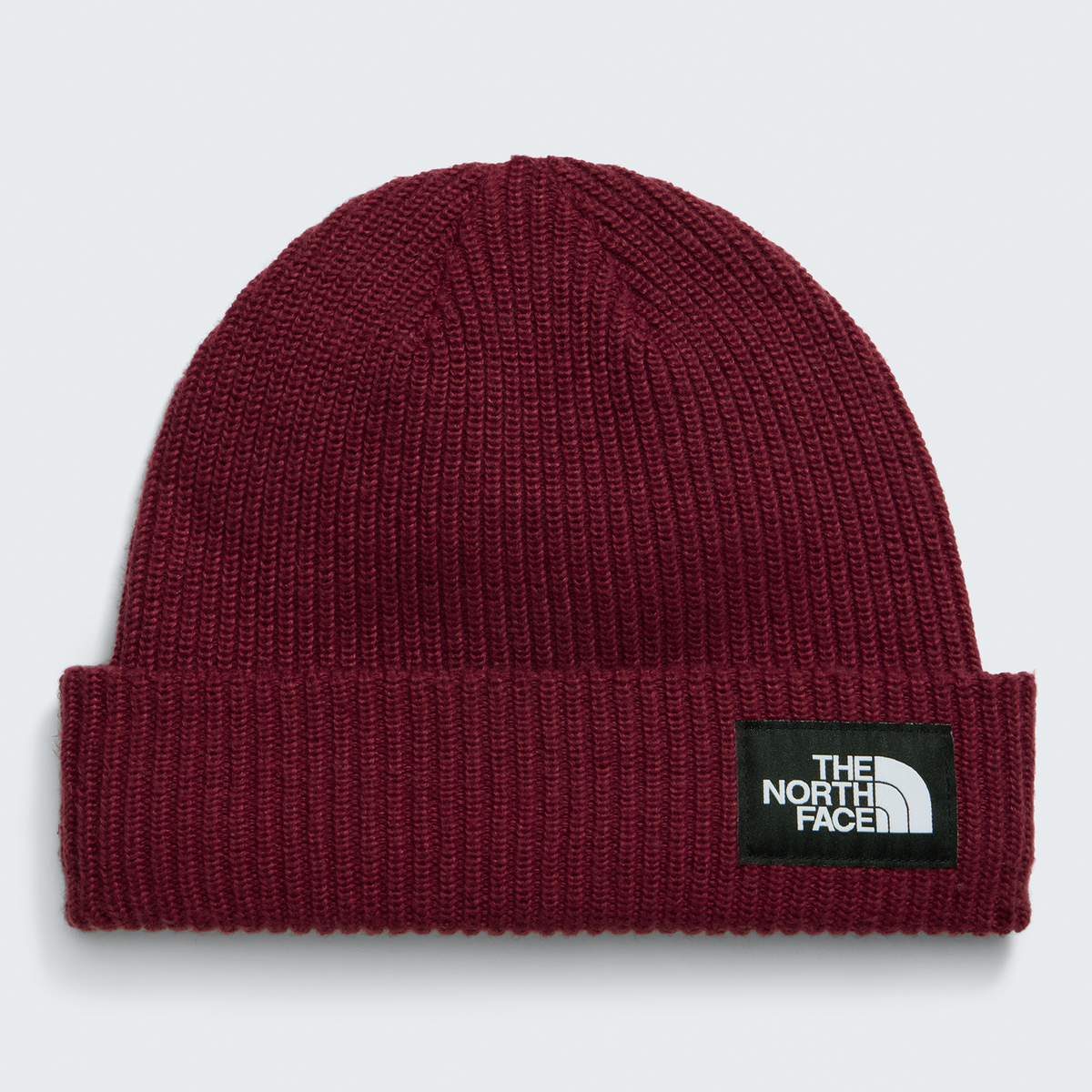 Salty Lined Beanie - NF0A8CGZ