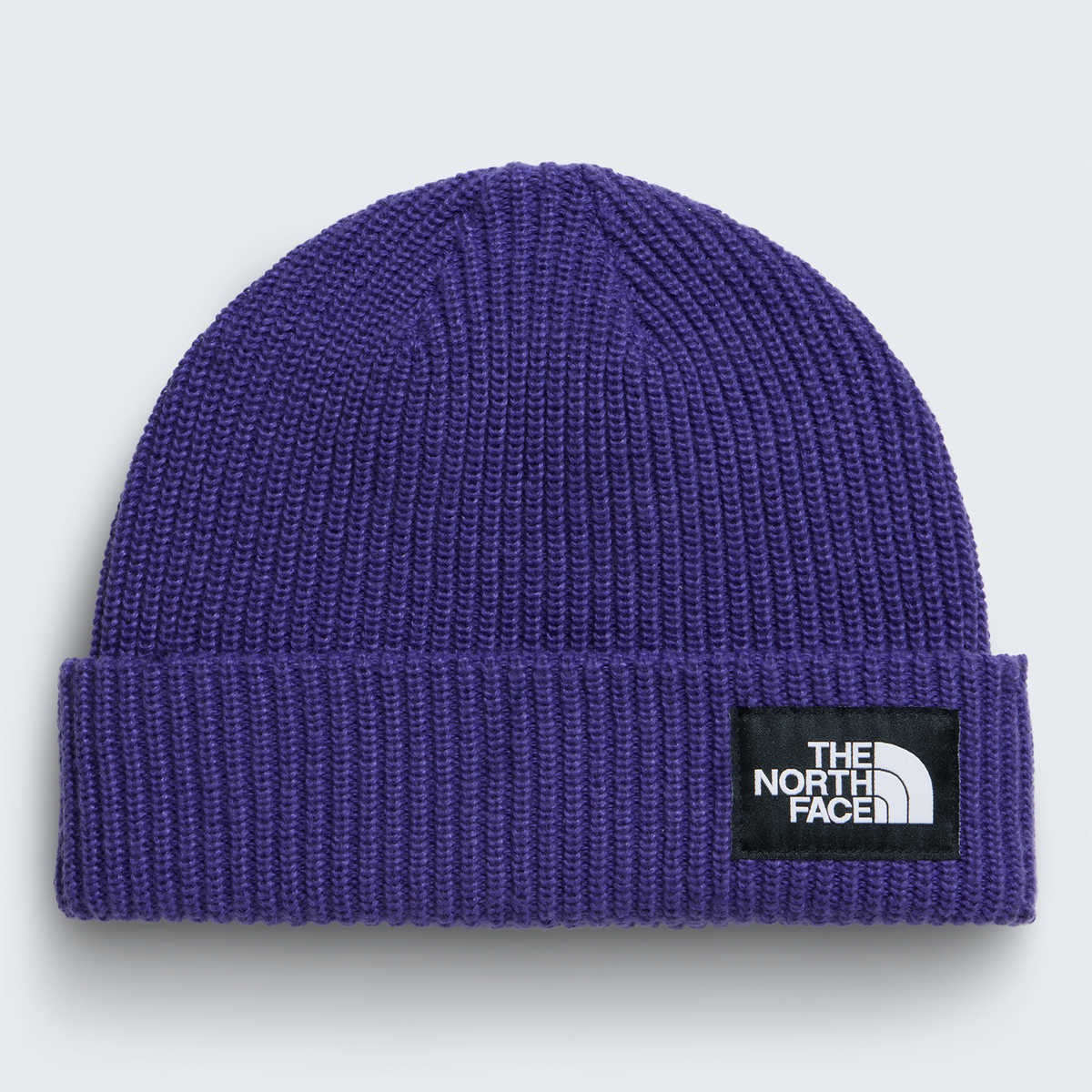 Salty Lined Beanie - NF0A8CGZ