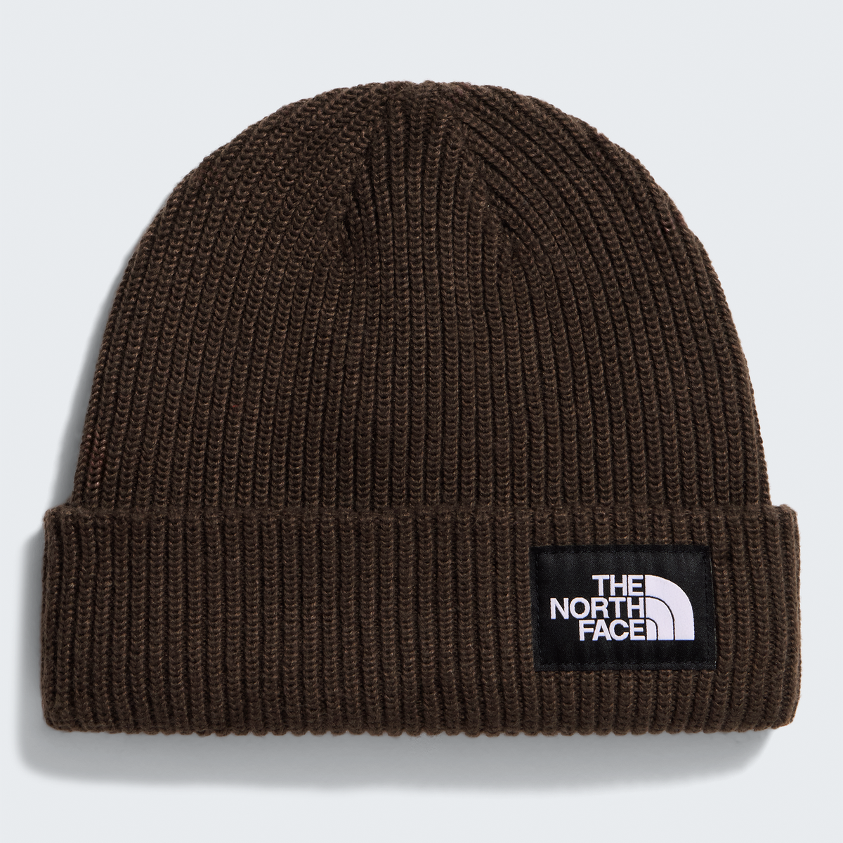 Salty Lined Beanie - NF0A8CGZ