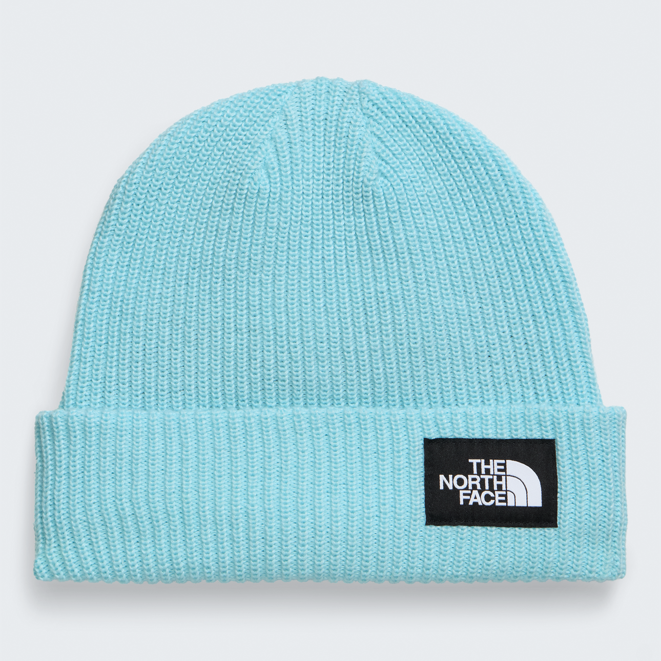 Salty Lined Beanie - NF0A8CGZ