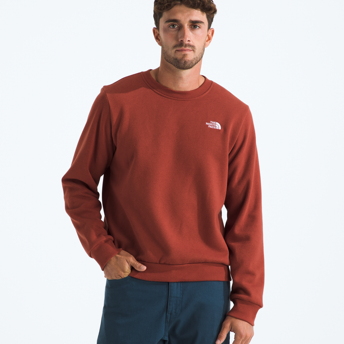Evolution Simple Dome Regular Crew (Men's) - NF0A8D60