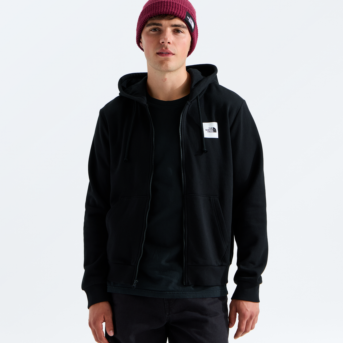 Evolution Box Half Dome Regular Full Zip Hoodie (Men's) - NF0A8JAZ