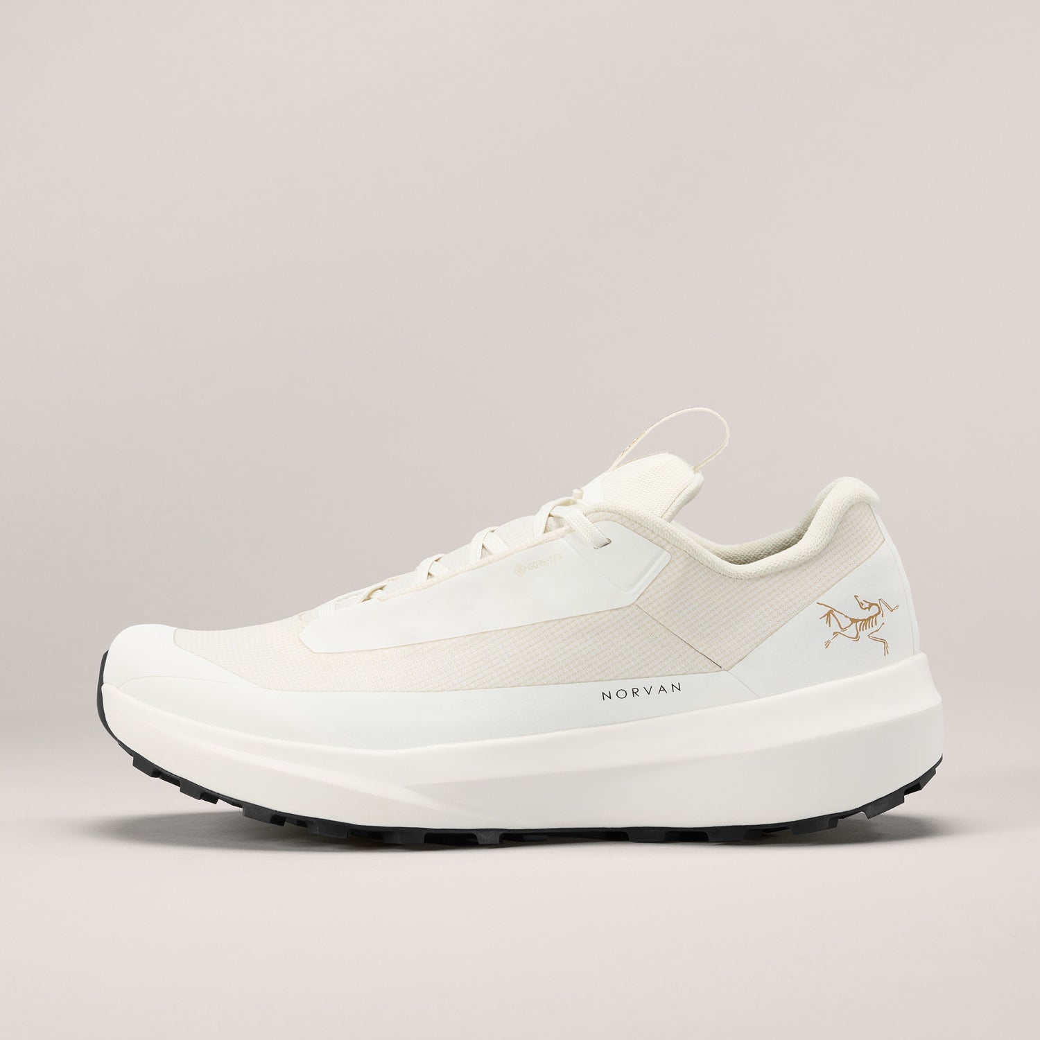 Norvan LD 4 GTX (Women's) - X000010399