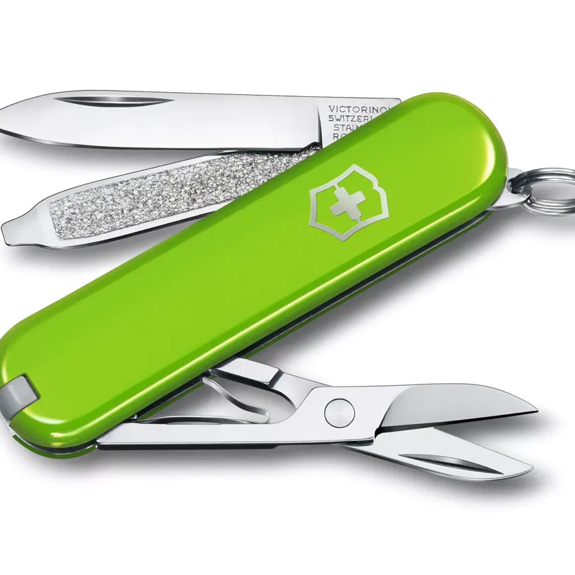 Classic SD Pocket Knife (Blister)