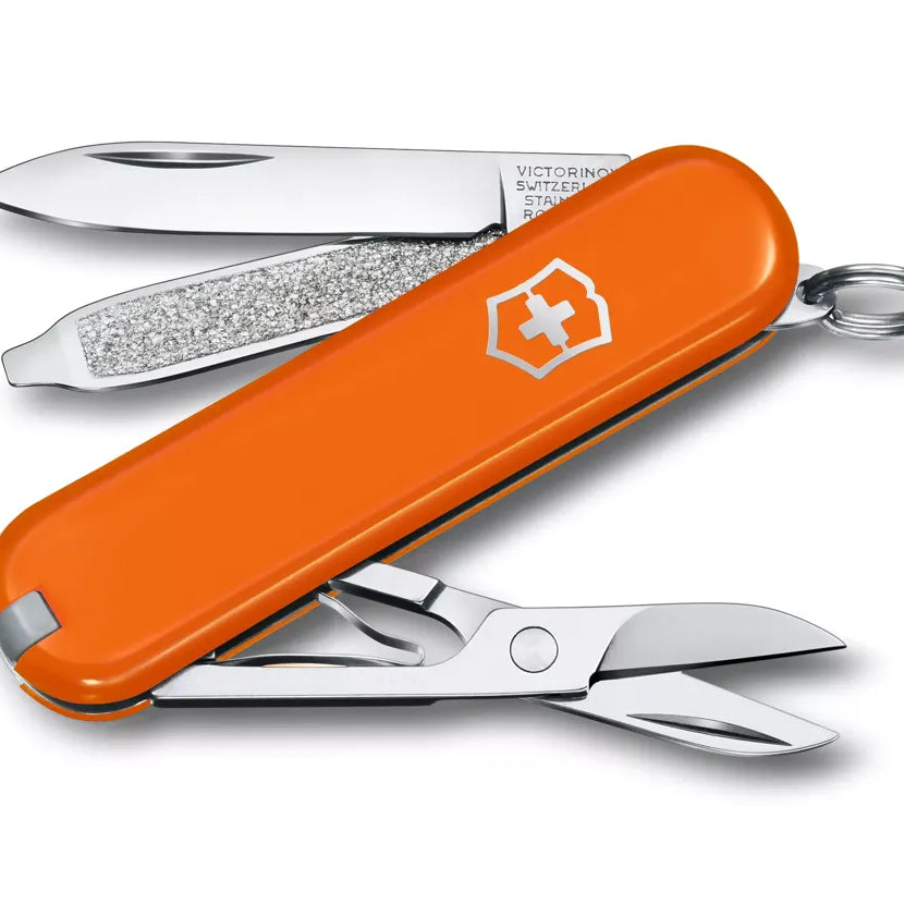 Classic SD Pocket Knife (Blister)