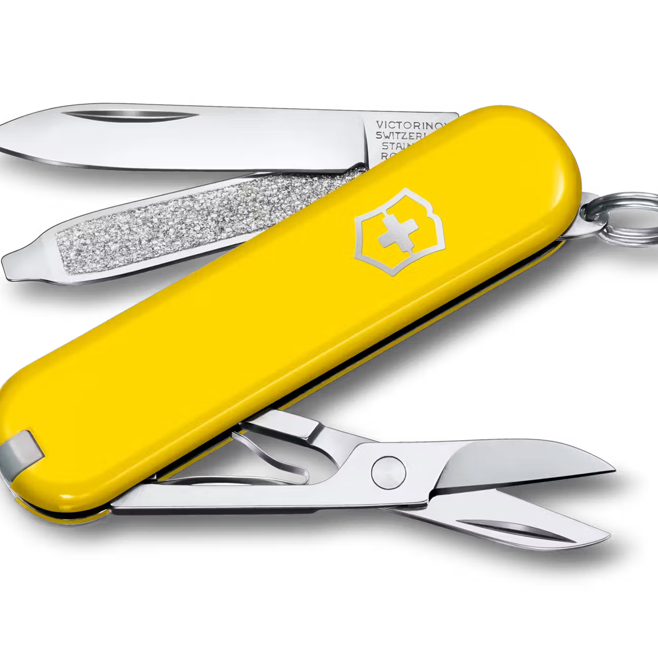 Classic SD Pocket Knife (Boxed)