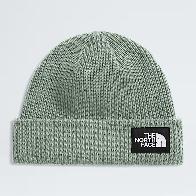 Salty Lined Beanie - NF0A8CGZ