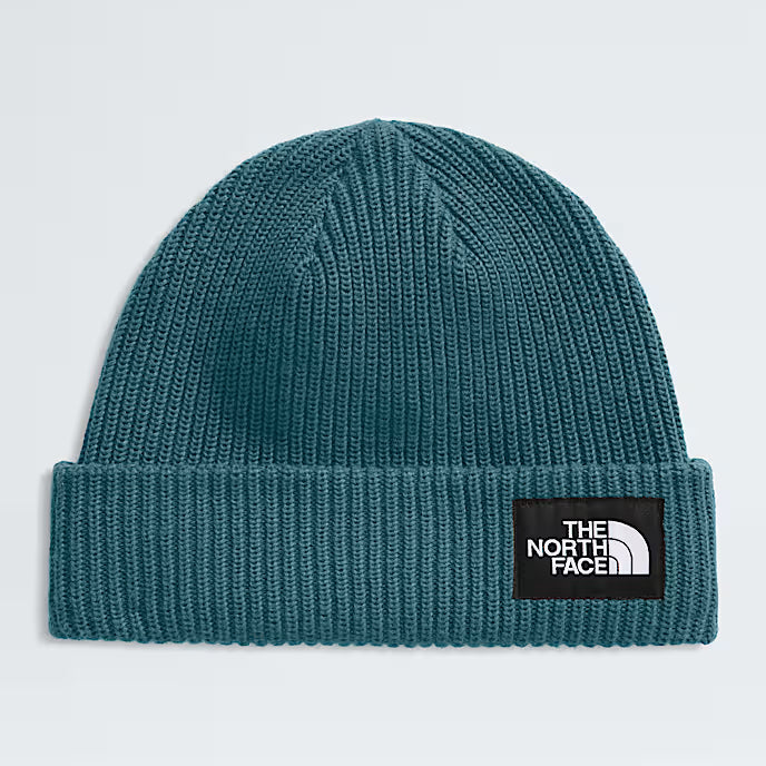 Salty Lined Beanie - NF0A8CGZ
