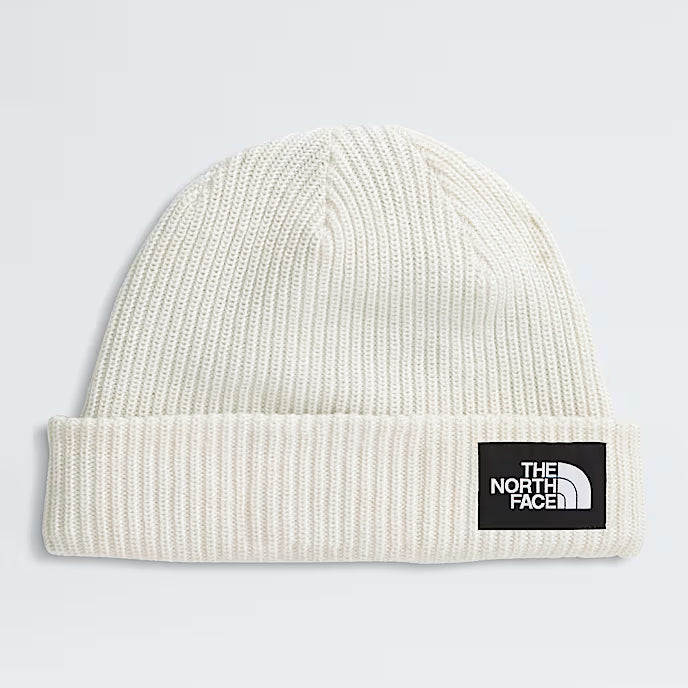 Salty Lined Beanie - NF0A8CGZ