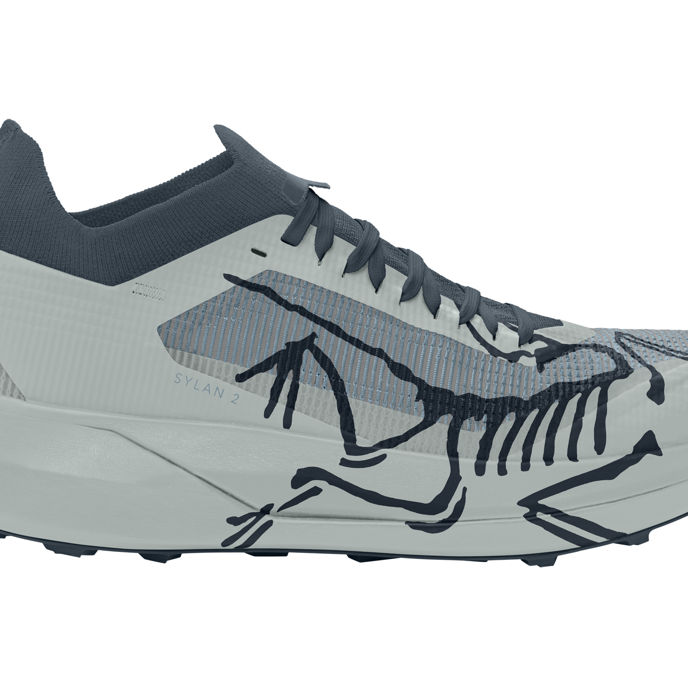 Sylan 2 Shoe (Men's) - X000010155