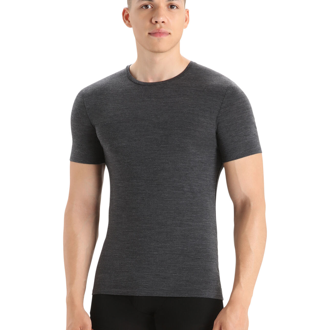 Merino Anatomica Short Sleeve Crewe T-Shirt (Men's) - IB103033