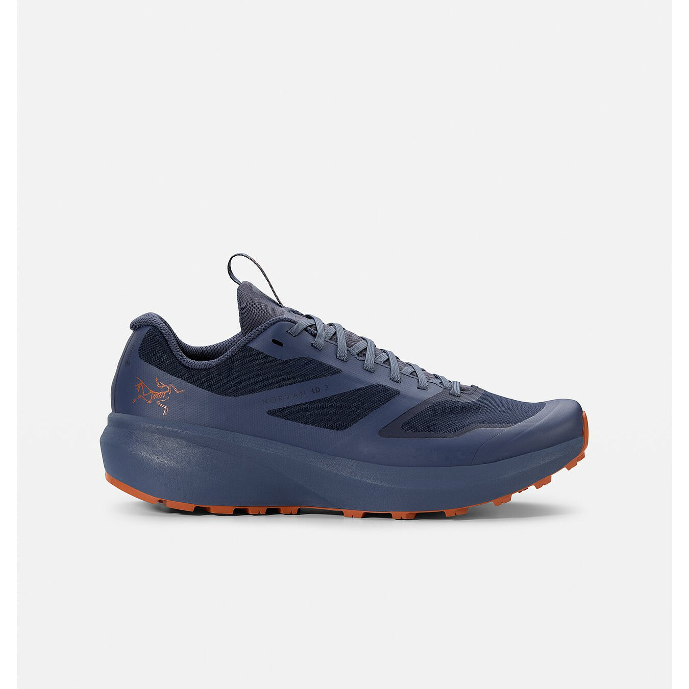 Norvan LD 3 GTX Shoe (Unisex) - X000006998 - Past Season