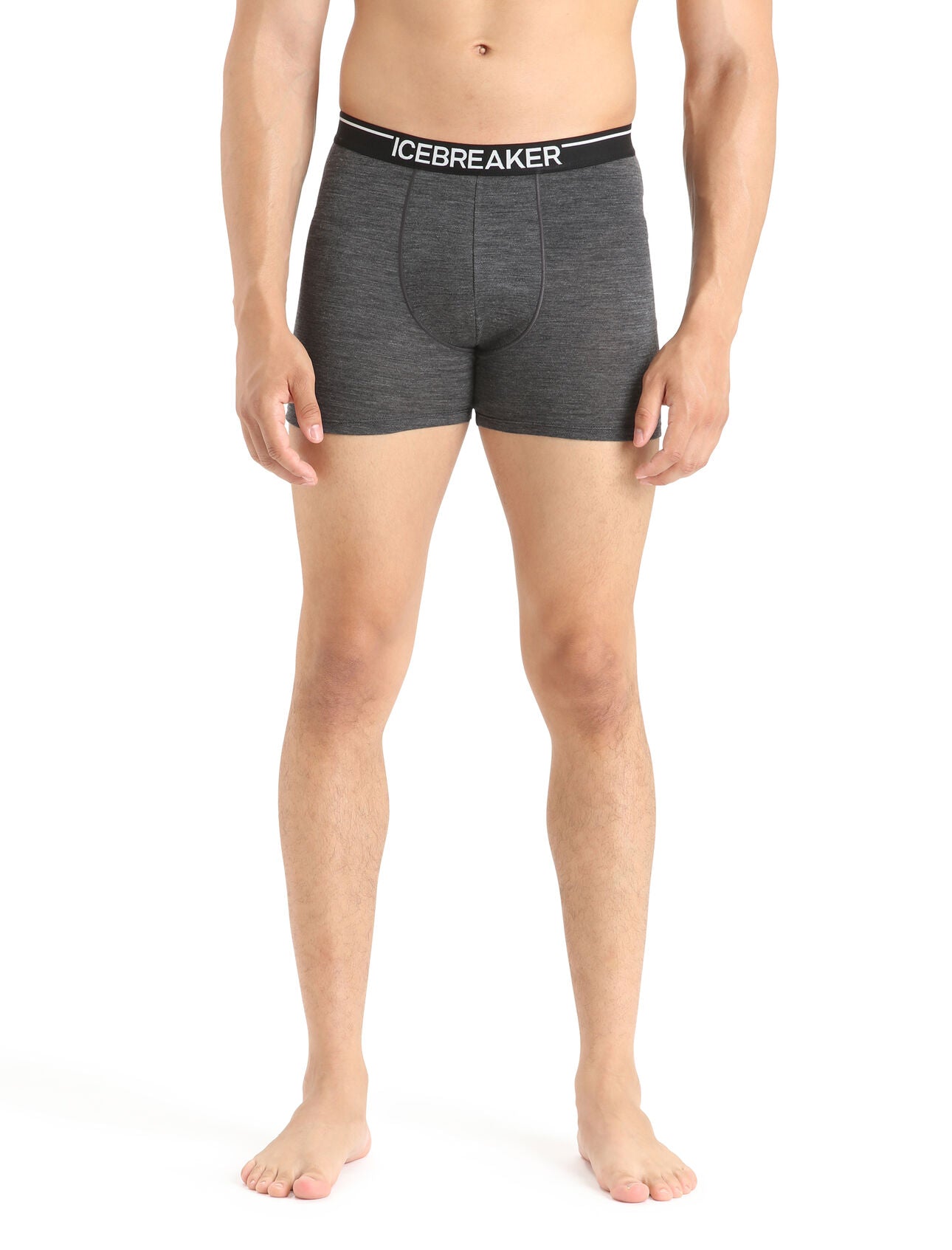 Merino 150 Anatomica Boxers (Men's) - IB103029