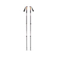 Trail Vista Shock Trekking Poles - BD112561