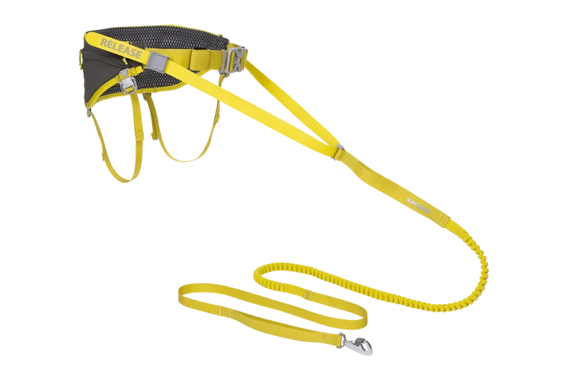 Omnijore™ Dog Joring System