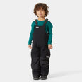 Rider 2.0 Insulated Ski Bib (Kids’)