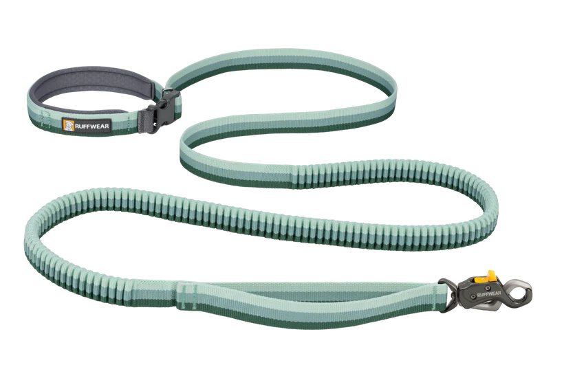 Roamer Lock™ Leash