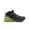Targhee Apex Waterproof Hiking Boot (Men's)