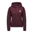 Equipment for Alpinists Pullover Hoody (Women's) - AP752445 - Past Season