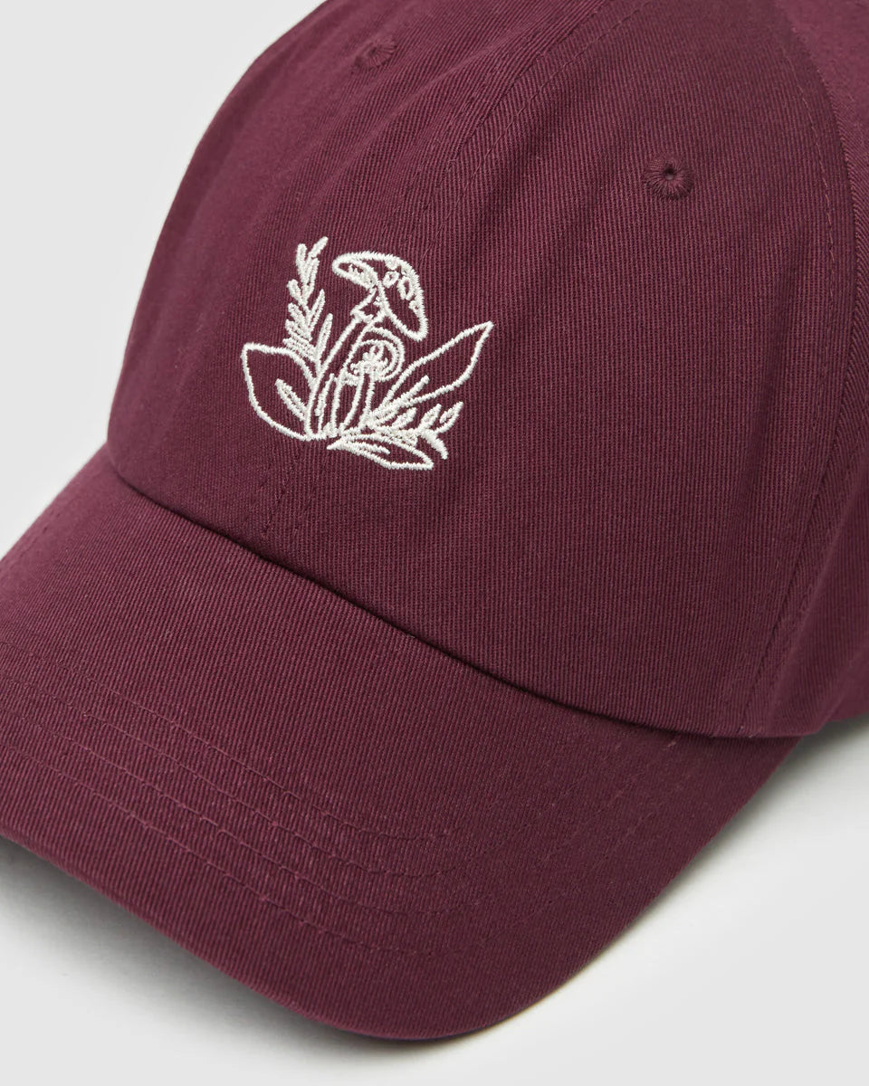 2025ssDRESS HIPPY\"DH-THERMO HAT\"BLACK Ｌ 2025ssDRESS HIPPY