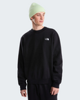Evolution Simple Dome Regular Crew (Men's) - NF0A8D60