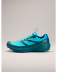 Norvan LD 3 GTX Shoe (Unisex) - X000006998 - Past Season