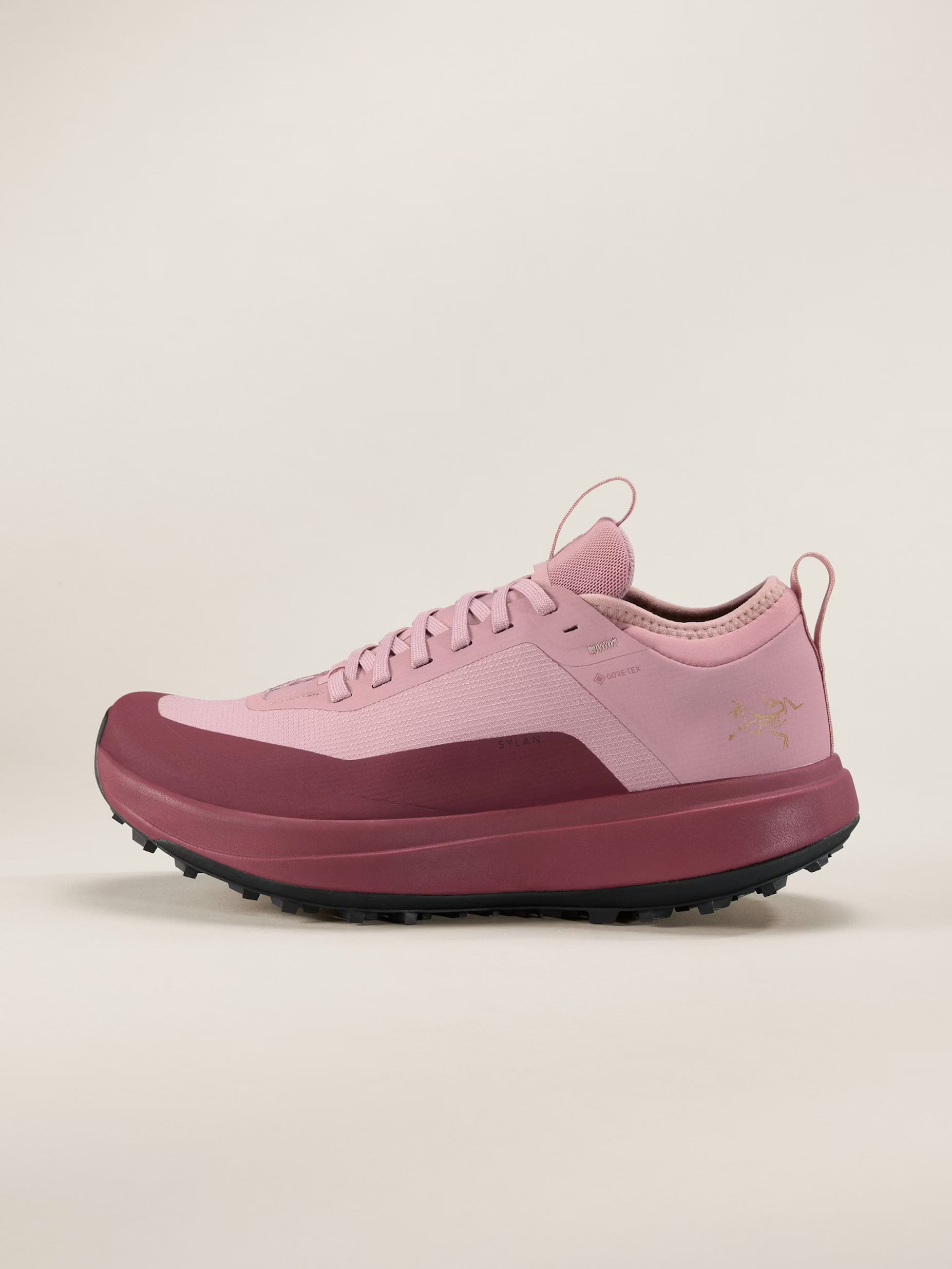 Arc'Teryx - Women's Sylan GTX Shoe | X000009605 – The Outfitters
