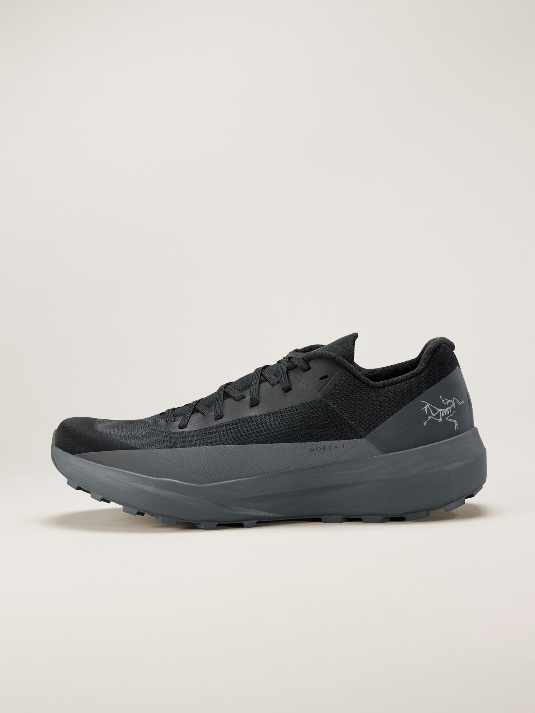 Norvan LD 4 Shoe (Men's)